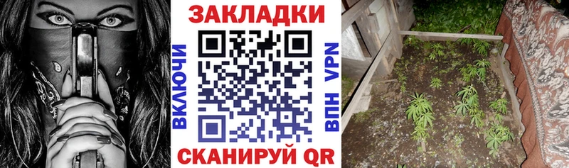 Где можно купить наркотики Нязепетровск Alpha PVP  АМФЕТАМИН  Кокаин  Мефедрон  ГАШИШ  мега ONION  Конопля  Псилоцибиновые грибы  Метамфетамин 