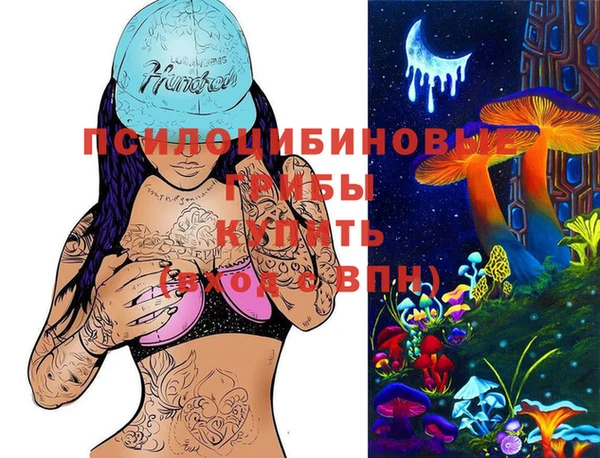 СК Приозерск