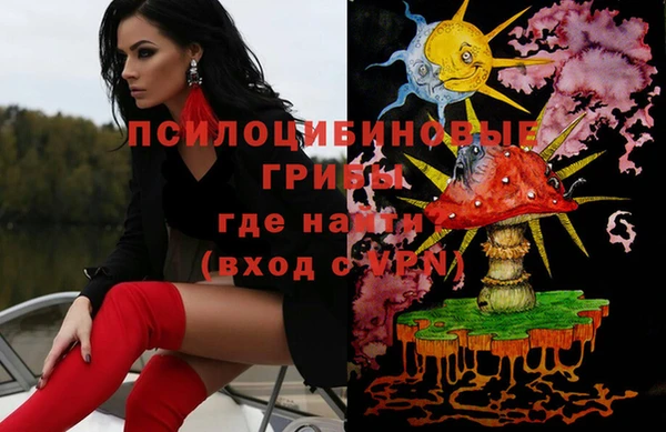 шишки Арсеньев