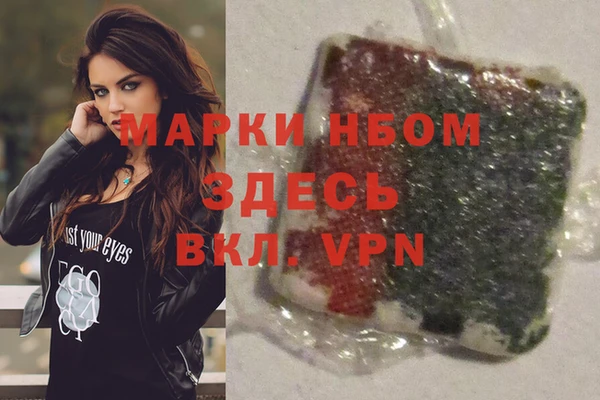 шишки Арсеньев