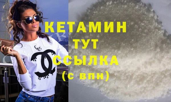 шишки Арсеньев