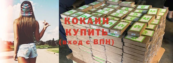шишки Арсеньев